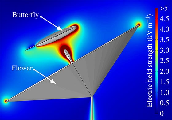 Grå tratt föreställande blomma med grå elips ovanför föreställande fjäril