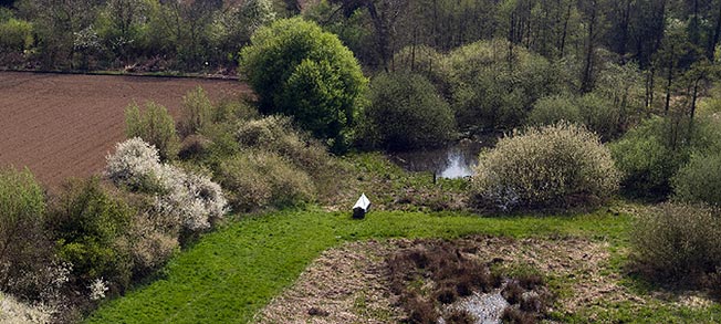 Buskvegetation, lövskog, åker tillvänster och mitt i bilden en vit prick på en remsa gräs